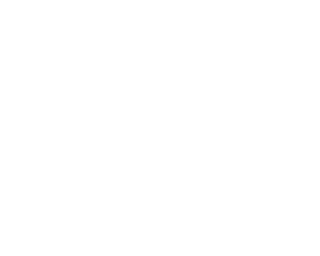 DataRobot White Logo